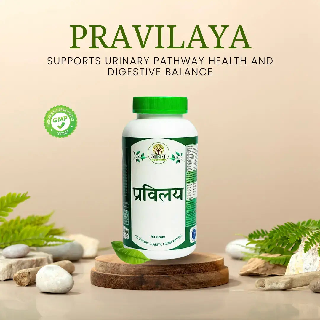 PRAVILAYA – Ayurvedic Urinary & Digestive Harmony Powder