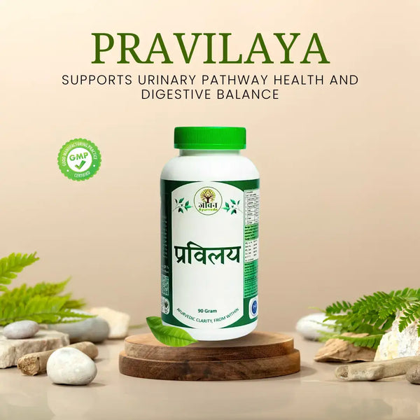 PRAVILAYA – Ayurvedic Urinary & Digestive Harmony Powder